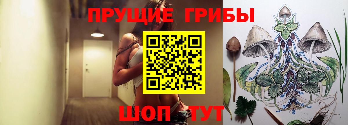 Галлюциногенные грибы Cubensis Нижнекамск